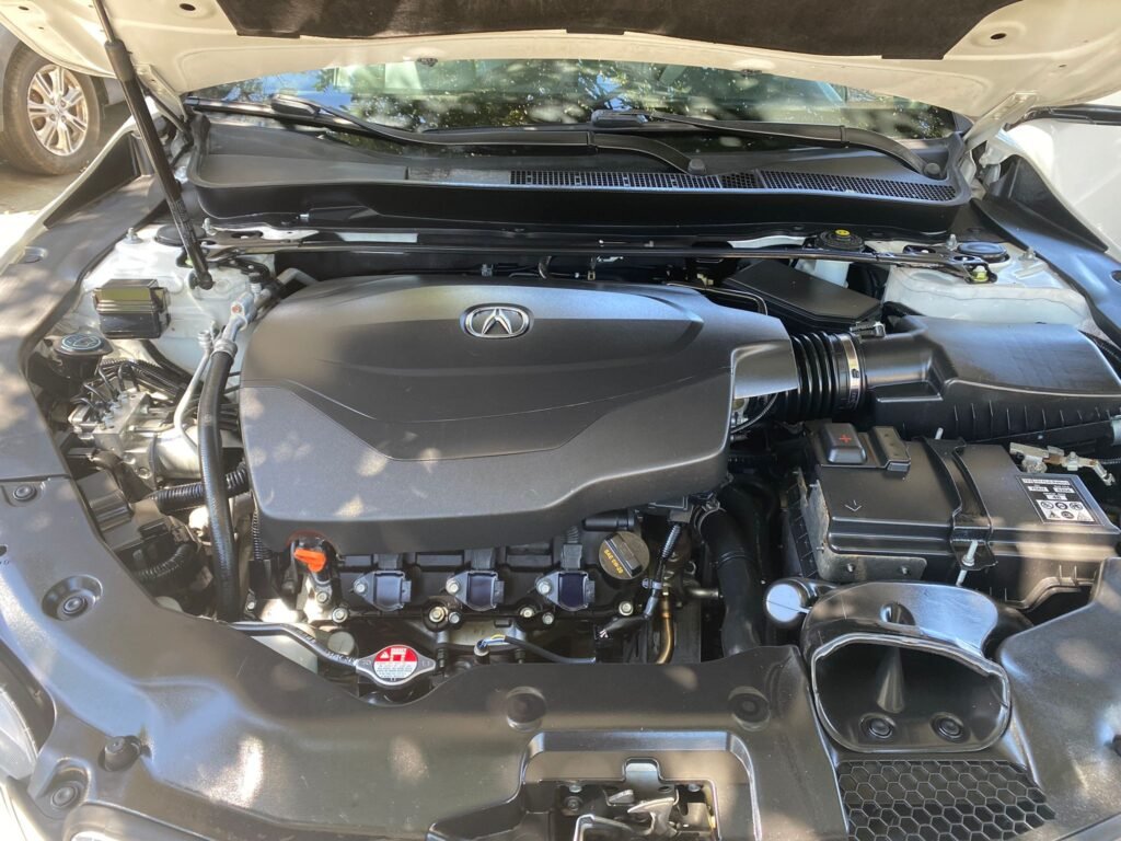 WhatsApp Image 2024-10-06 at 12.41.43 PM (1)